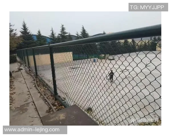 篮球护栏网的选择与安装指南助你打造安全舒适的运动环境